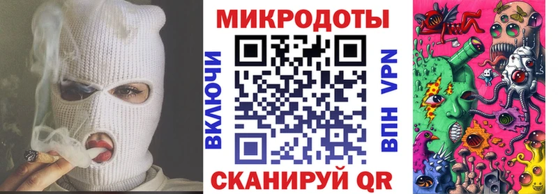 Купить  Пущино  Псилоцибиновые грибы Psilocybe 